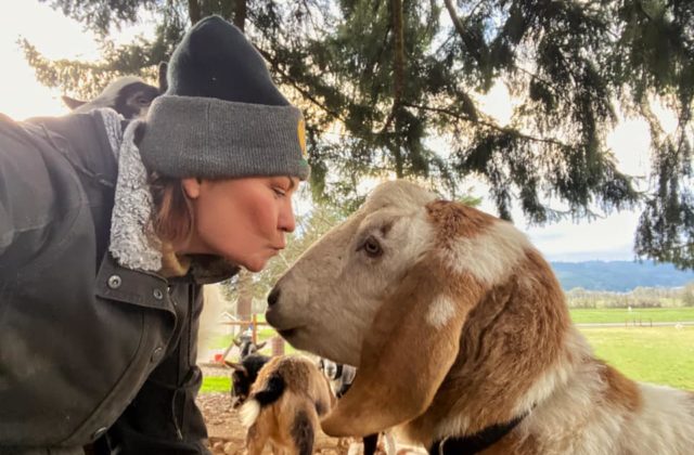 Original Goat Yoga photo 2