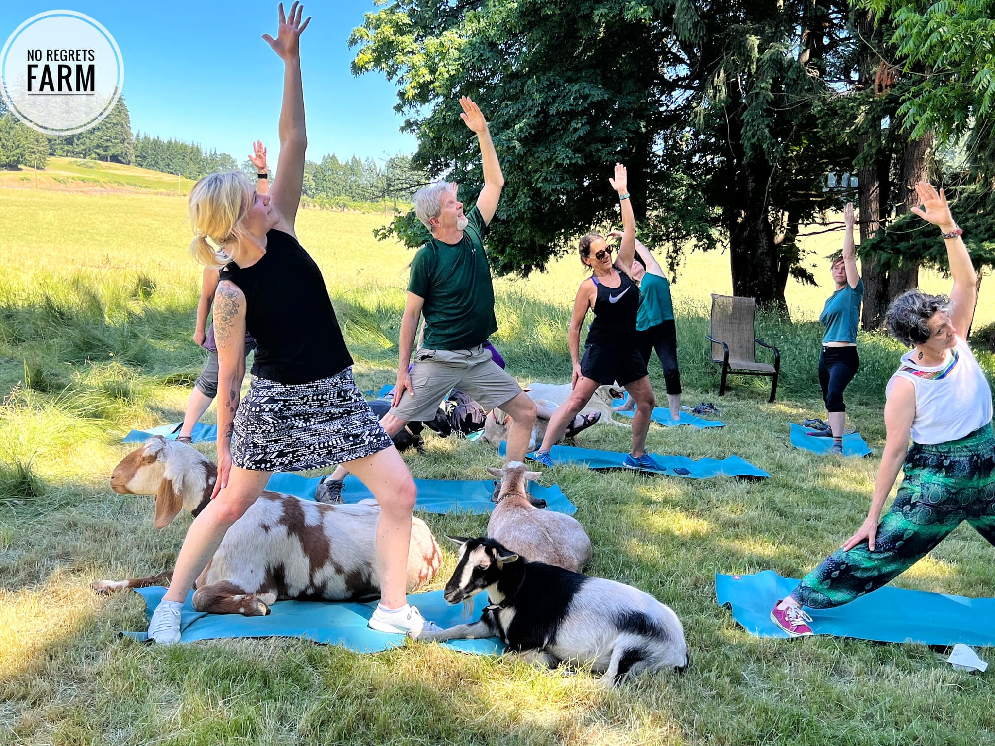 Original Goat Yoga photo 6