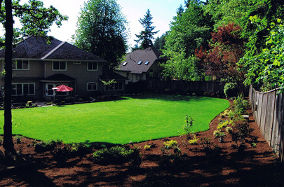 Perennial Landscaping photo 2