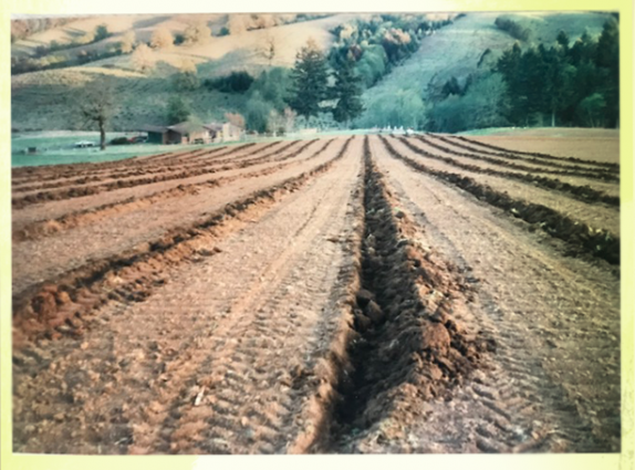 Pfeiffer Winery photo 7