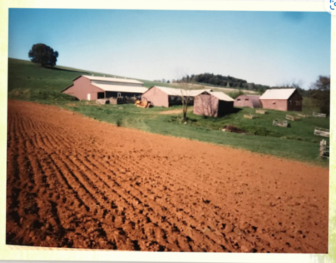 Pfeiffer Winery photo 9