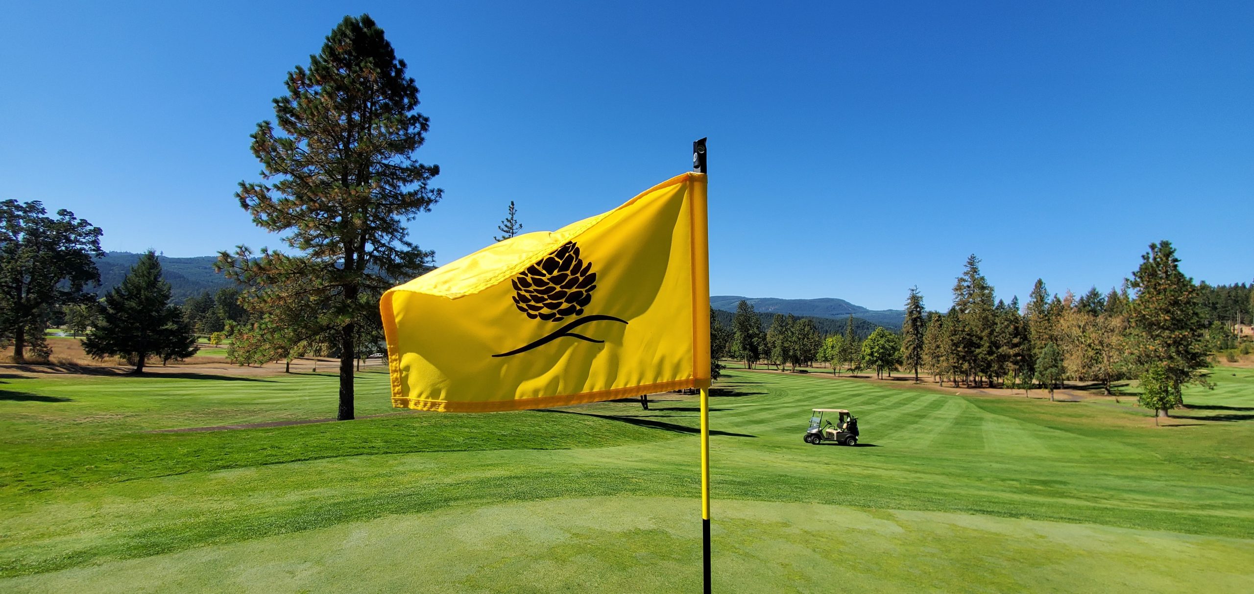 Pine Ridge Golf Club photo 11
