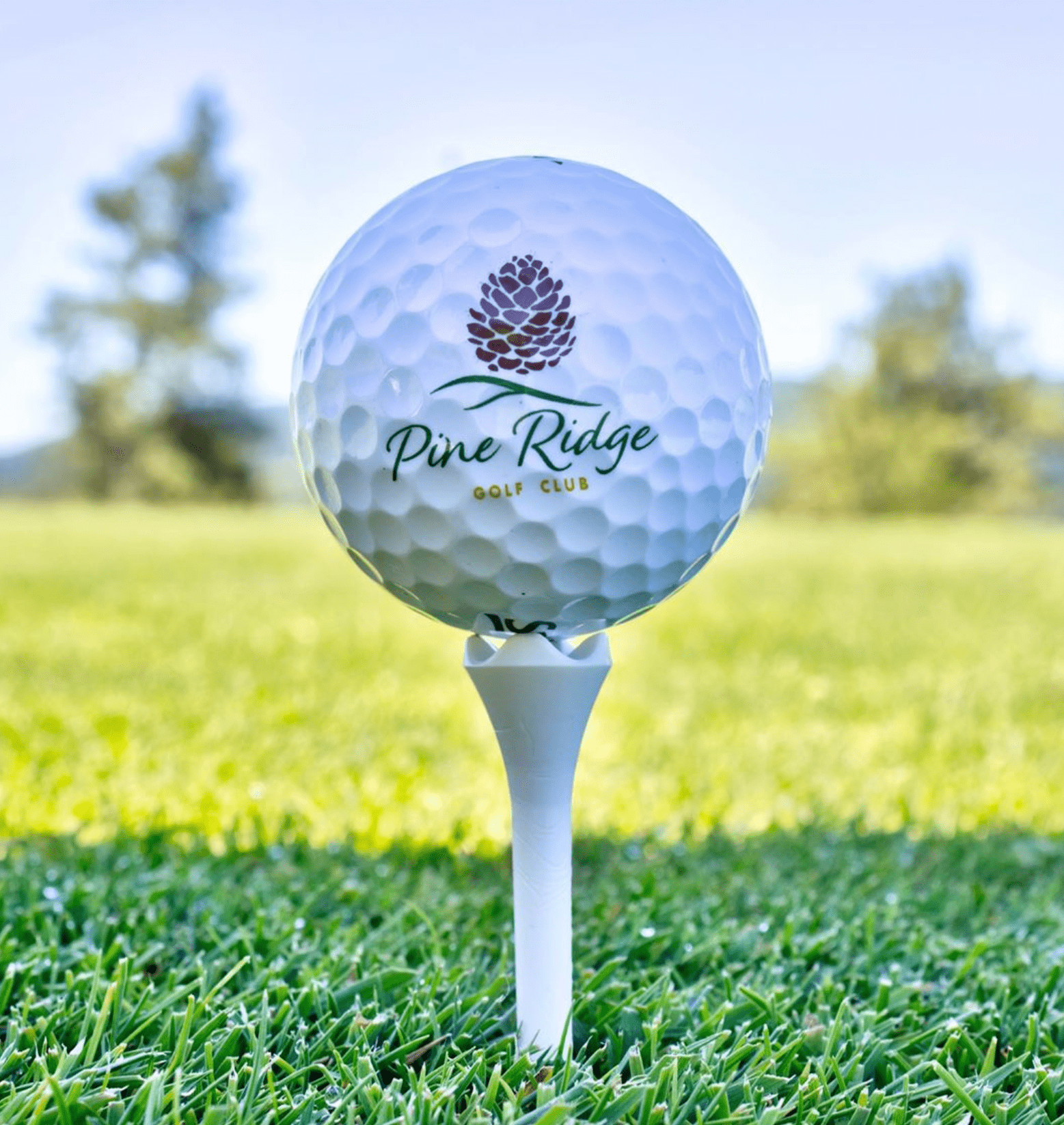 Pine Ridge Golf Club photo 6