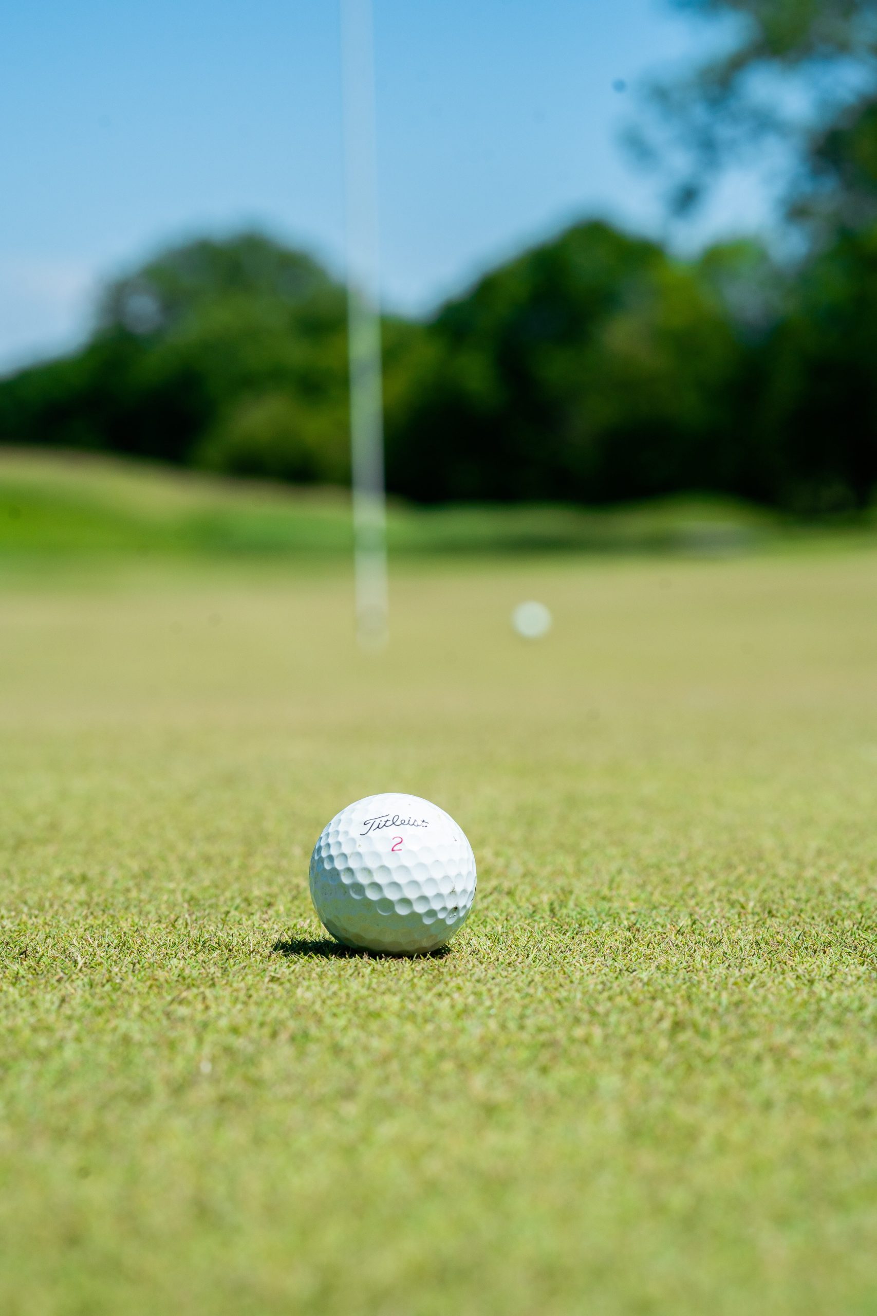 Pine Ridge Golf Club photo 8