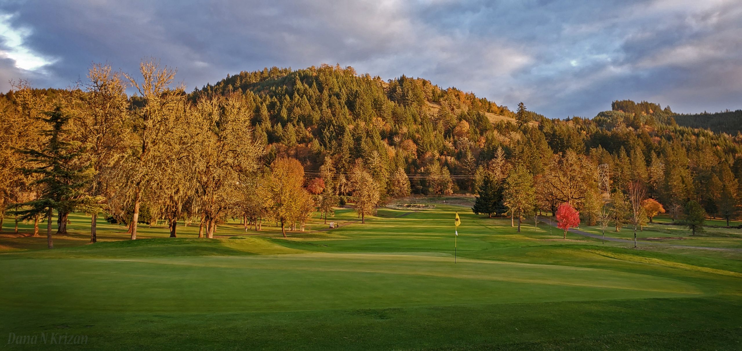 Pine Ridge Golf Club photo 2