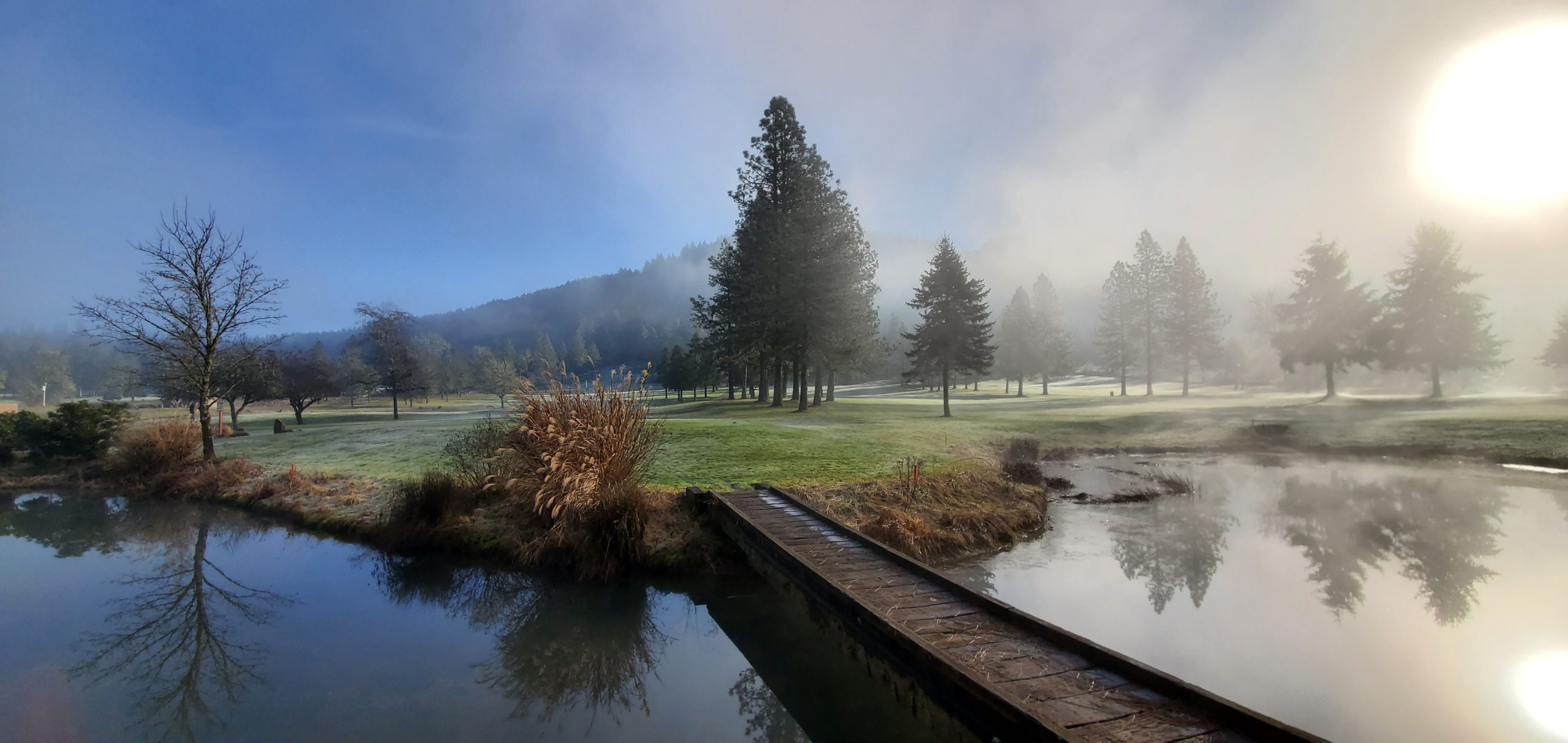 Pine Ridge Golf Club photo 10