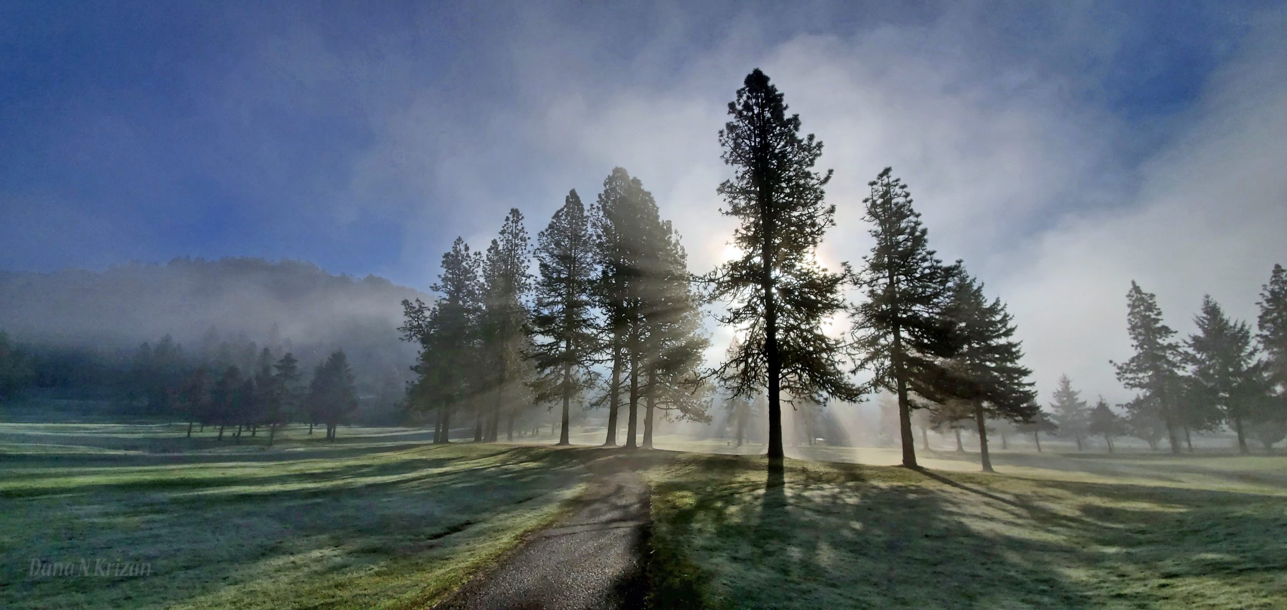 Pine Ridge Golf Club photo 4