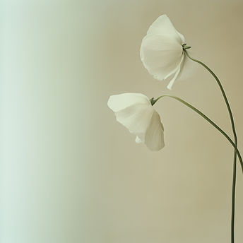 Rethwill Chiropractic Clinic photo 8