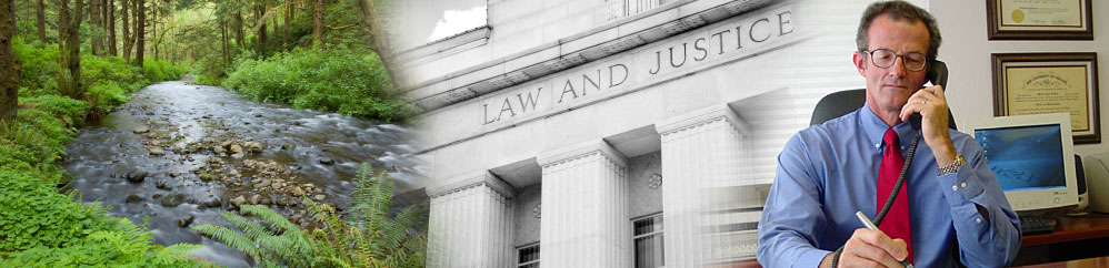 Ryan M. Gifford, P.C. Attorney at Law photo