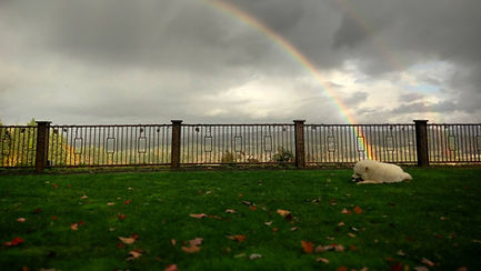Sarver Winery photo 5