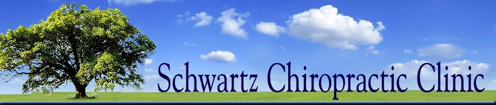 Schwartz Chiropractic Clinic photo