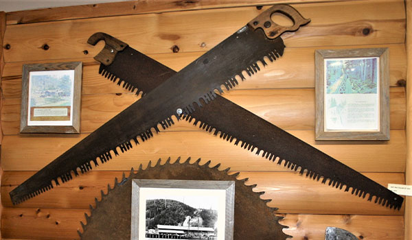 Siuslaw Pioneer Museum photo 11