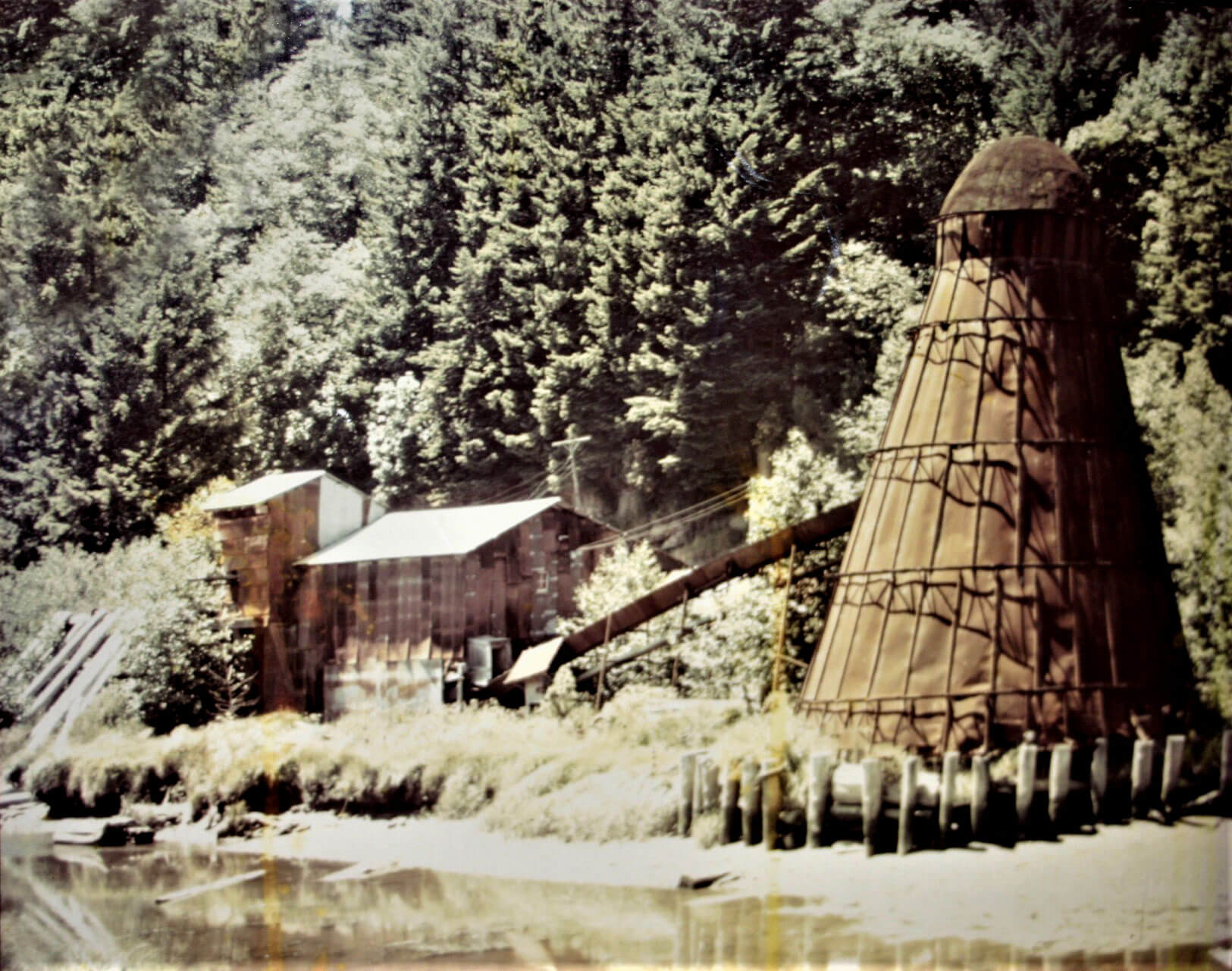 Siuslaw Pioneer Museum photo 7