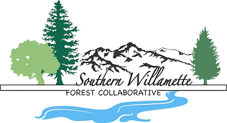 South Willamette Solutions photo 5