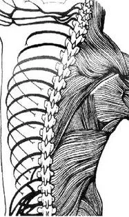 Spinal Health Center photo 2