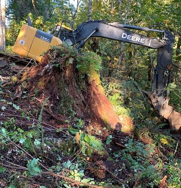 Stapleton Timber & Excavation photo 8