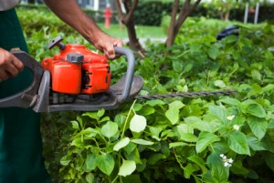 Superior Tree Service photo 7