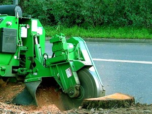 Superior Tree Service photo 8