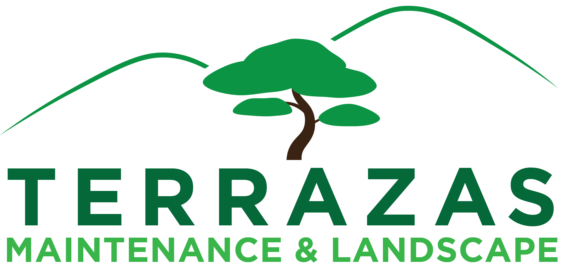 Terrazas Maintenance Landscaping photo