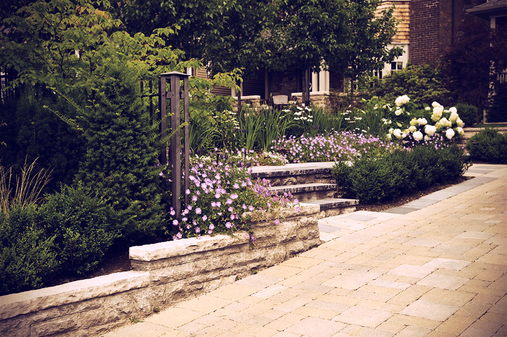 Terrazas Maintenance Landscaping photo 6