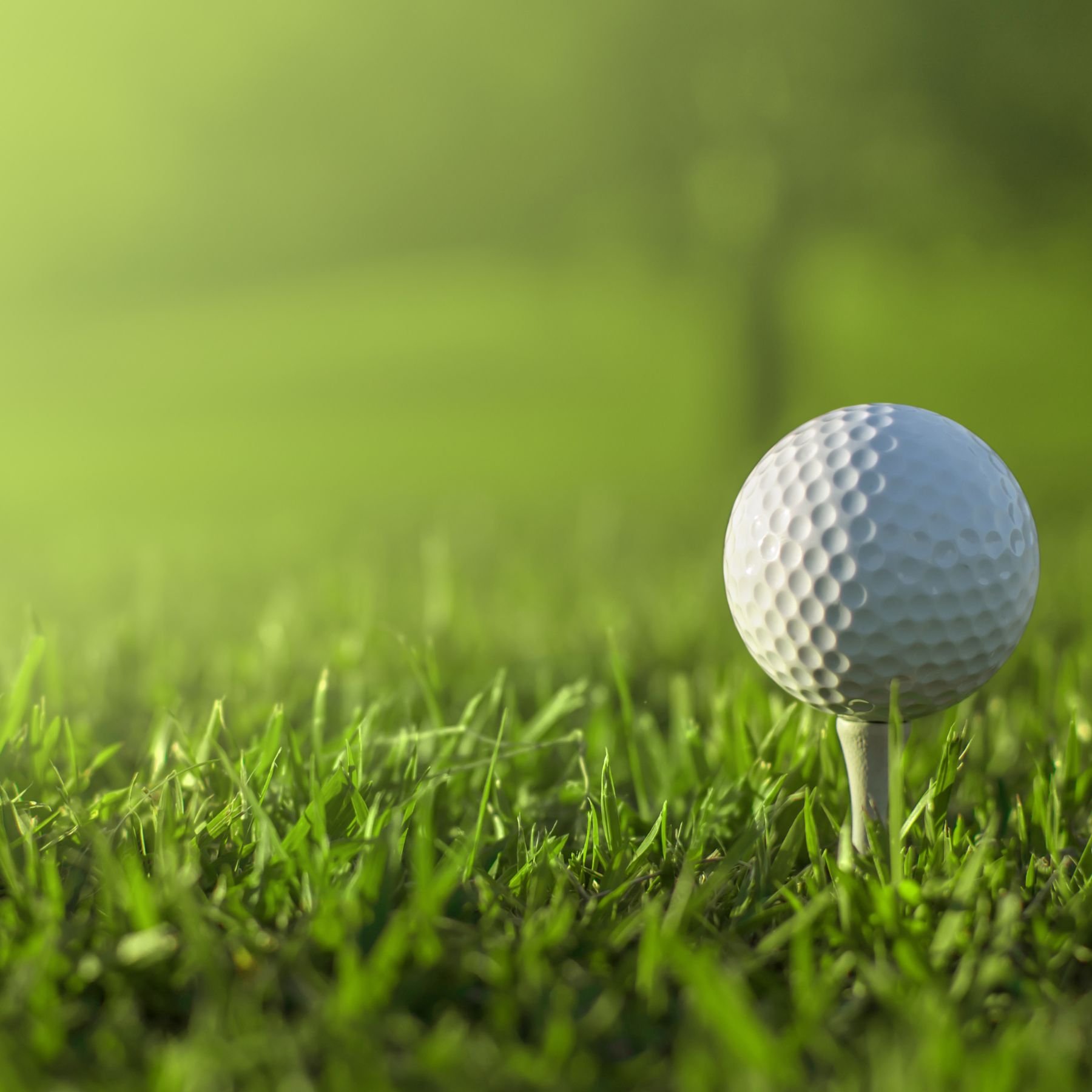 The Bandon Golf Simulator photo