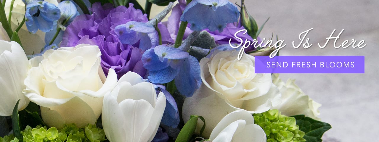 The Flower Market photo 3