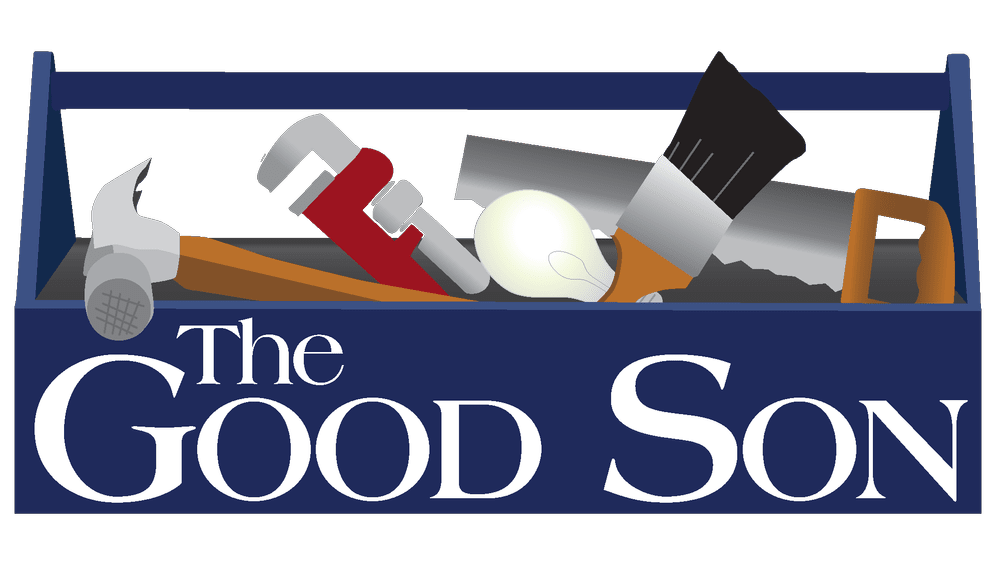 The Good Son photo