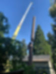 The Tree Guys Llc photo 5