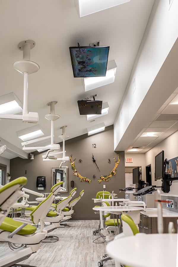 Treehouse Kids Dentist photo 11