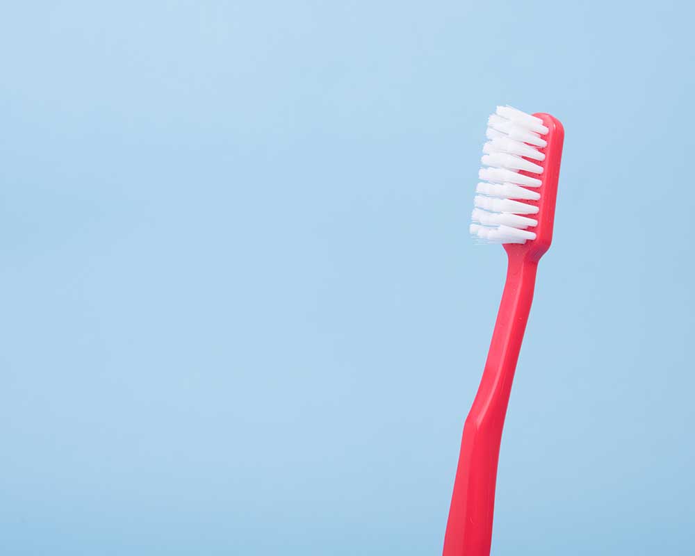 Treehouse Kids Dentist photo 4