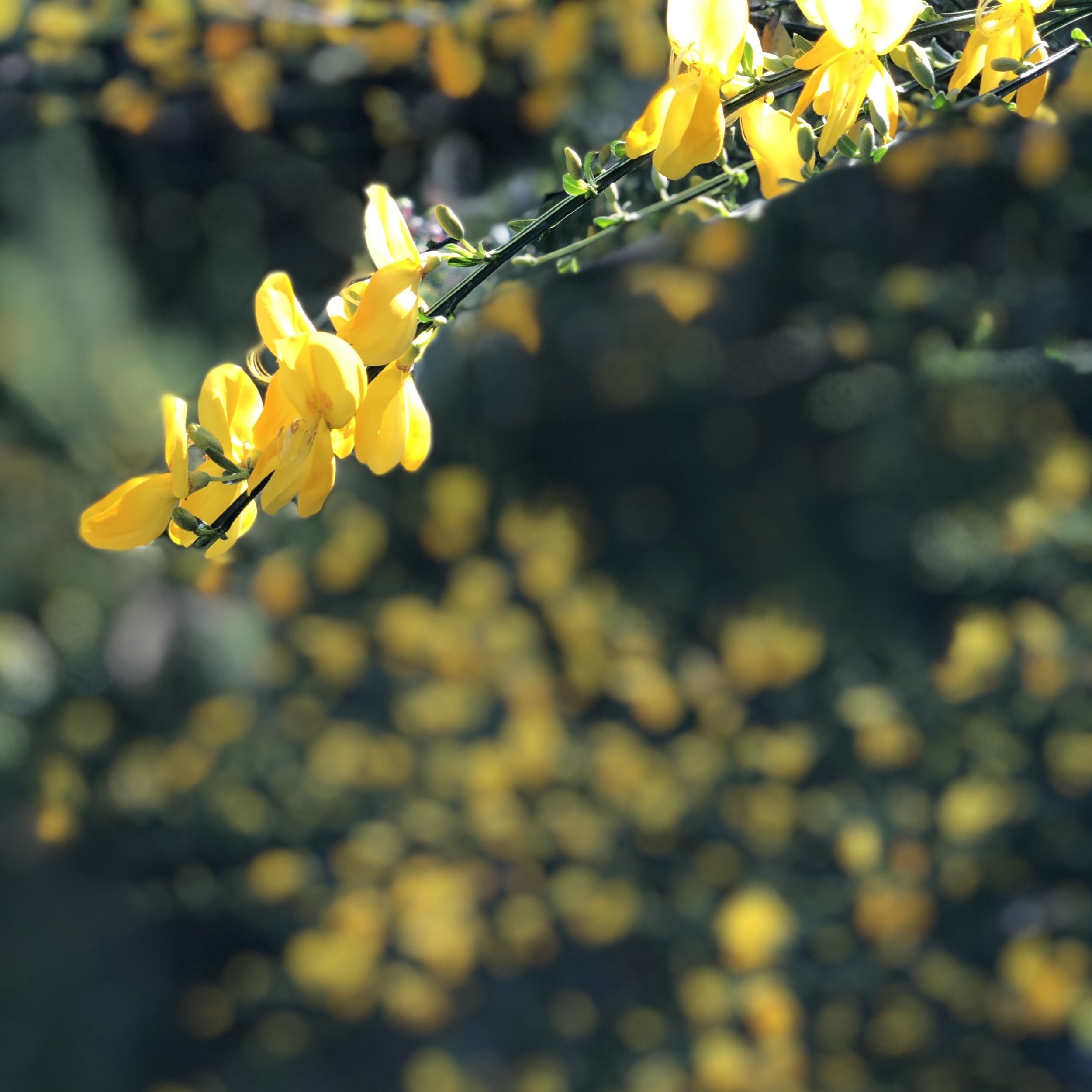 Vibrant Way photo 12