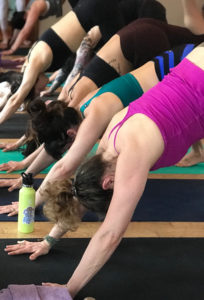 Wild Light Yoga Center photo 2