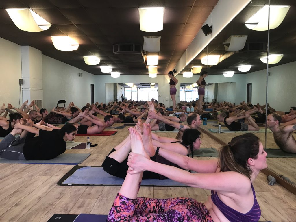 Wild Light Yoga Center photo 8