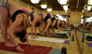 Wild Light Yoga Center photo