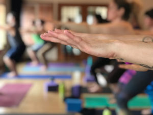 Wild Light Yoga Center photo 3