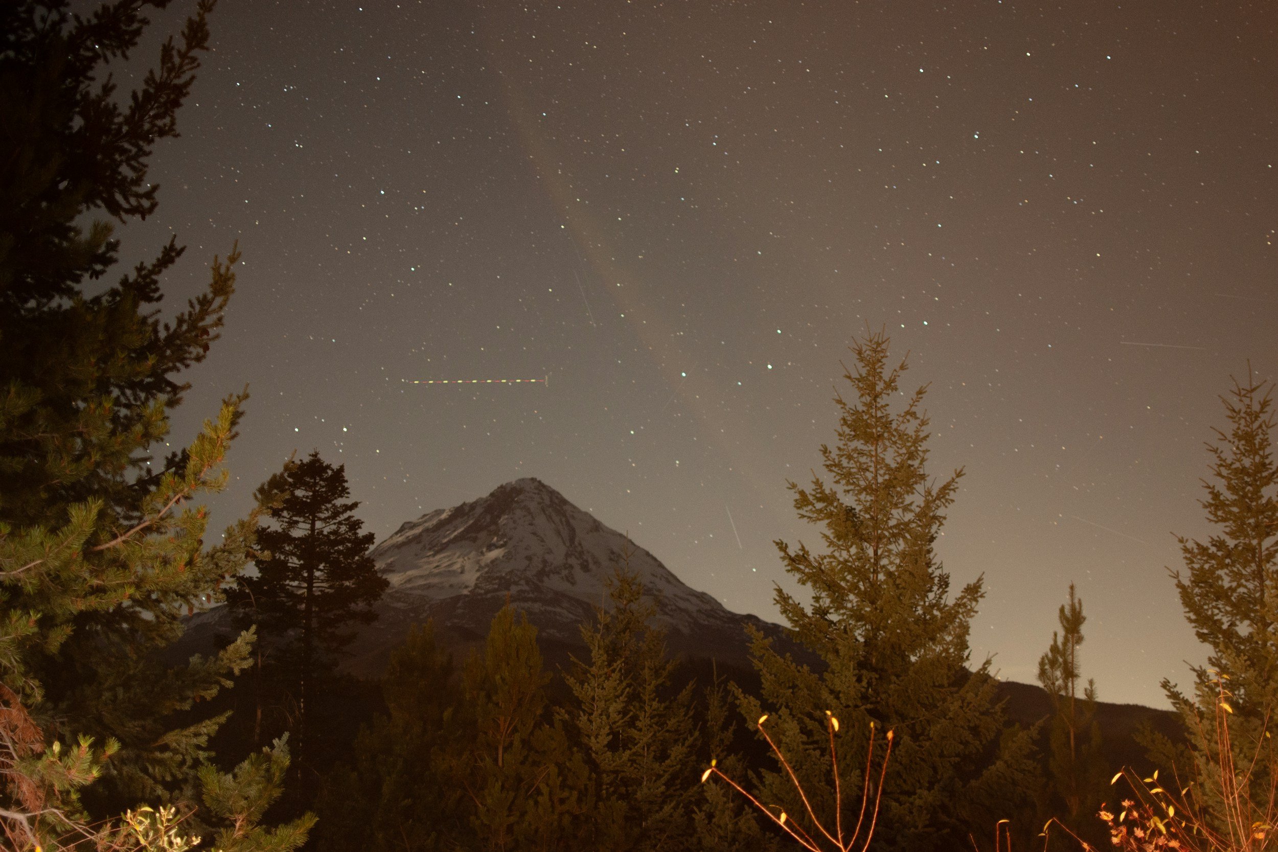 Willamette Valley Esthetics & Electrolysis photo 7