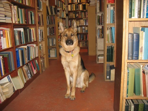 Windows Booksellers photo 5
