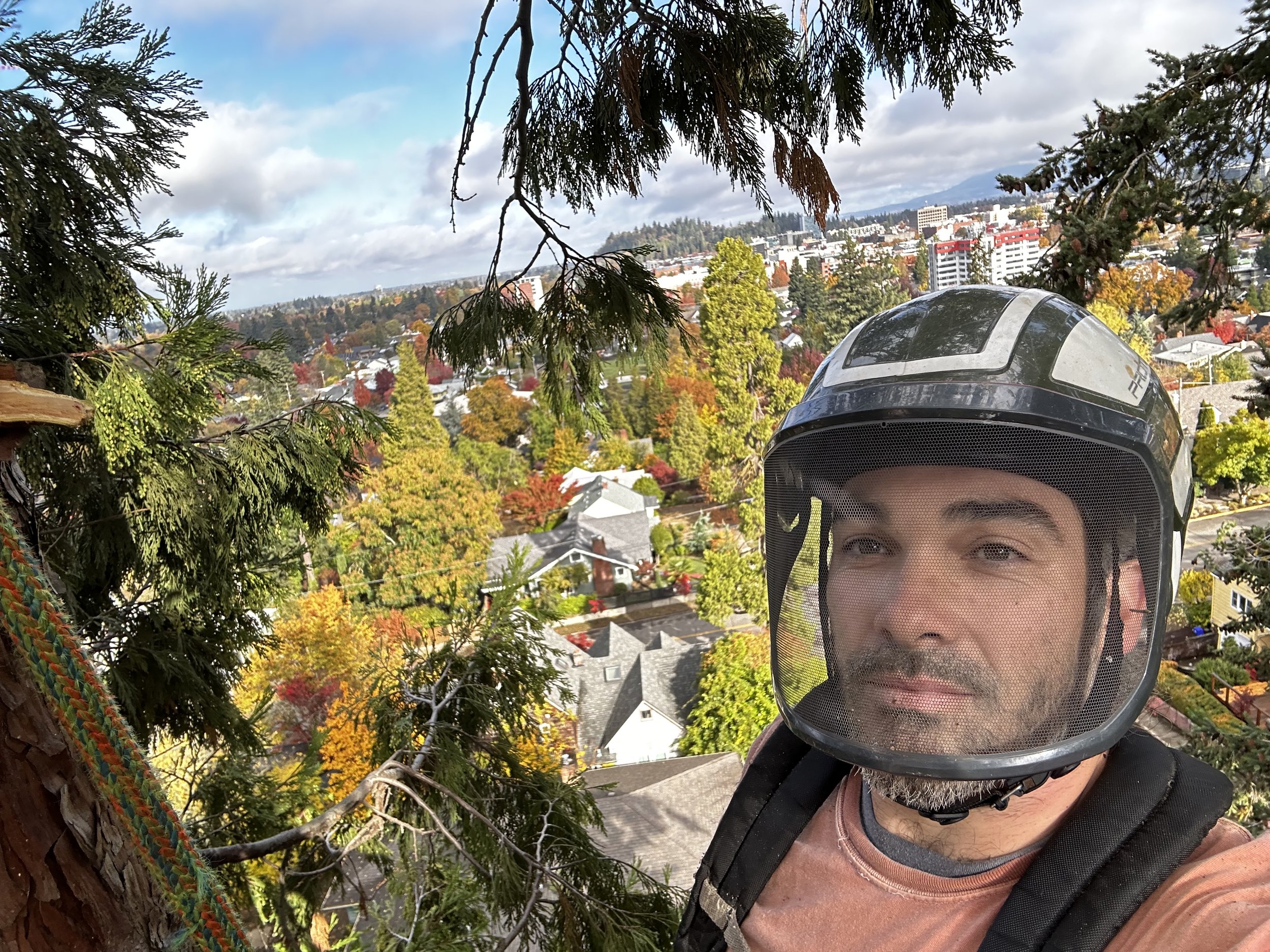 Wolfpack Tree Service photo 9