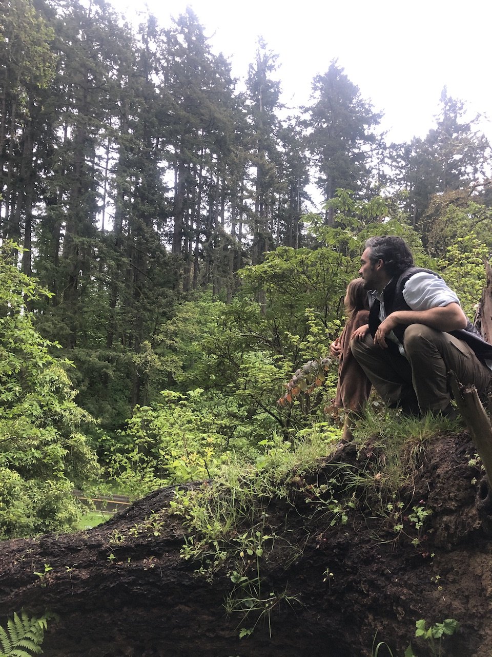 Wolfpack Tree Service photo 10